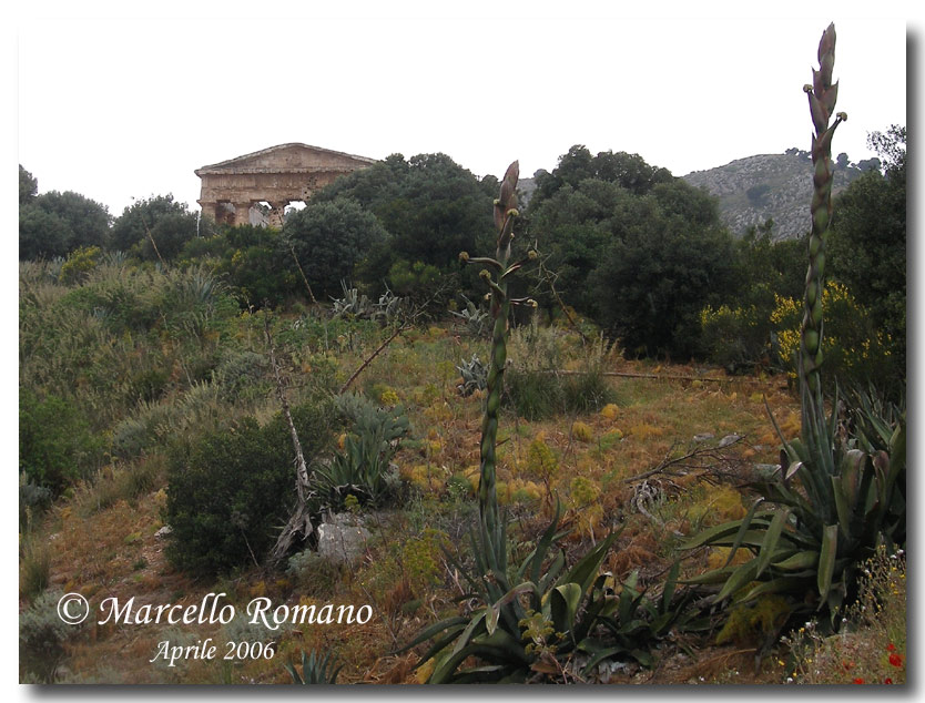 Un anno su e gi per la Sicilia